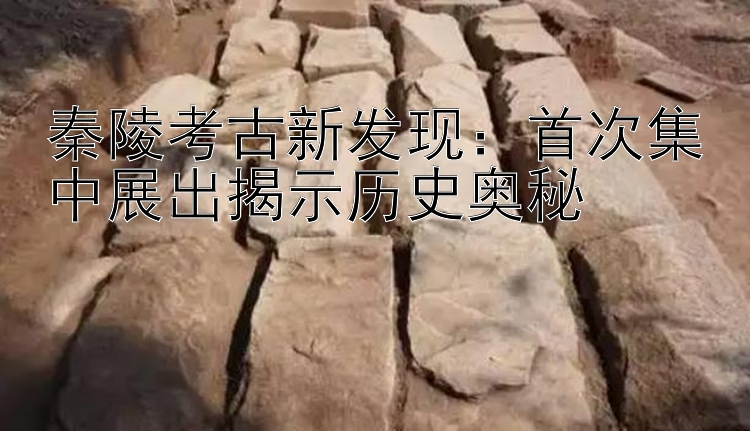 秦陵考古新发现：首次集中展出揭示历史奥秘