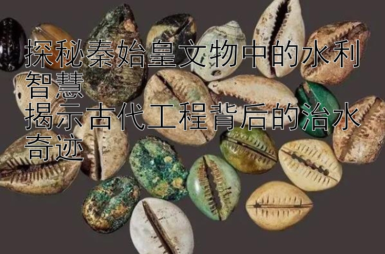 探秘秦始皇文物中的水利智慧  
揭示古代工程背后的治水奇迹